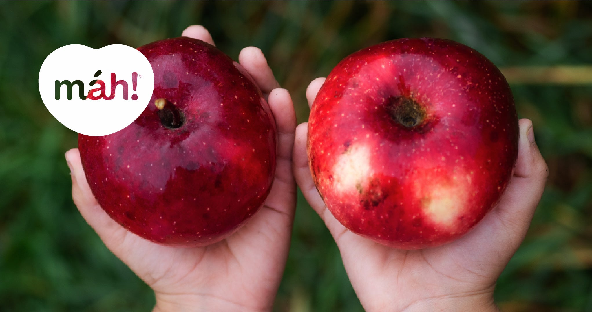 Pin en Alimentación Infantil