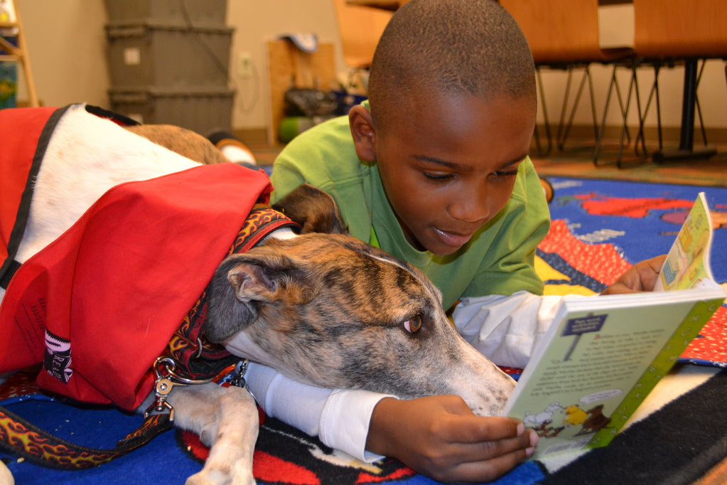 Los perros son fieles amigos que acompañan a leer   